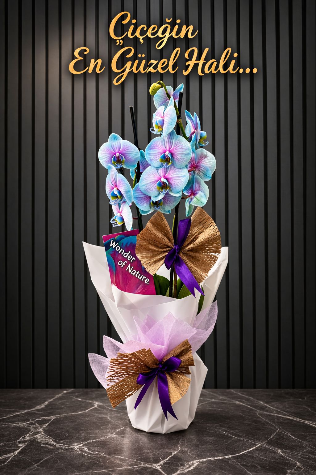 Çift Dallı Premium Ithal Gökkuşağı Orkide