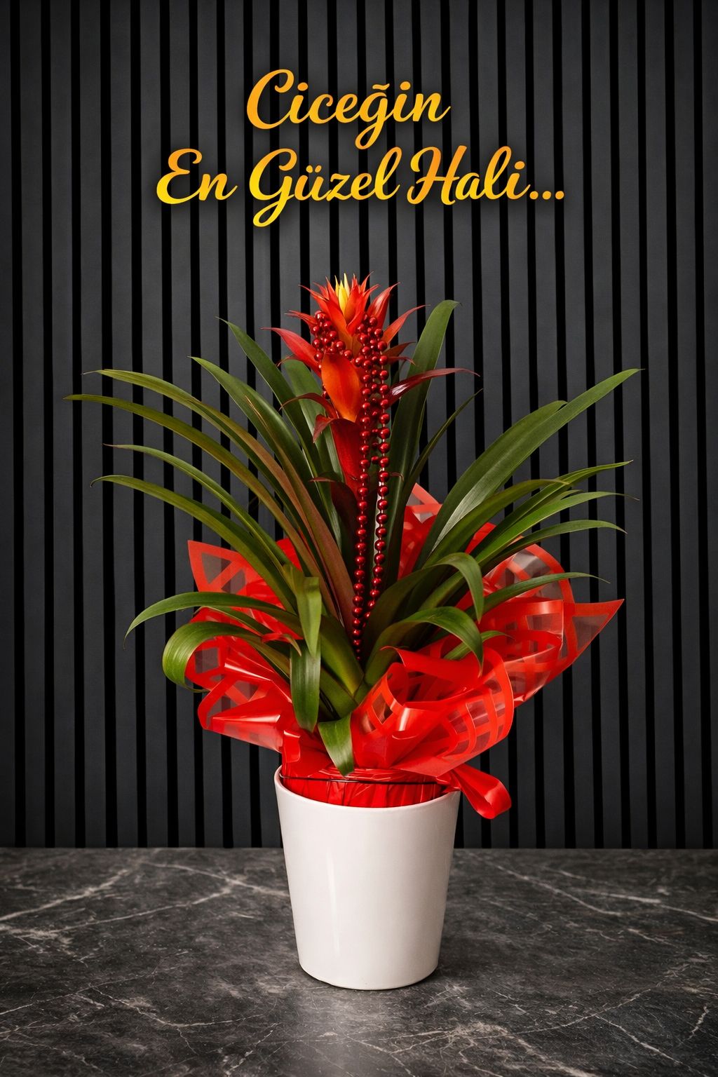Ithal Kırmızı Seramik Saksıda Guzmanya