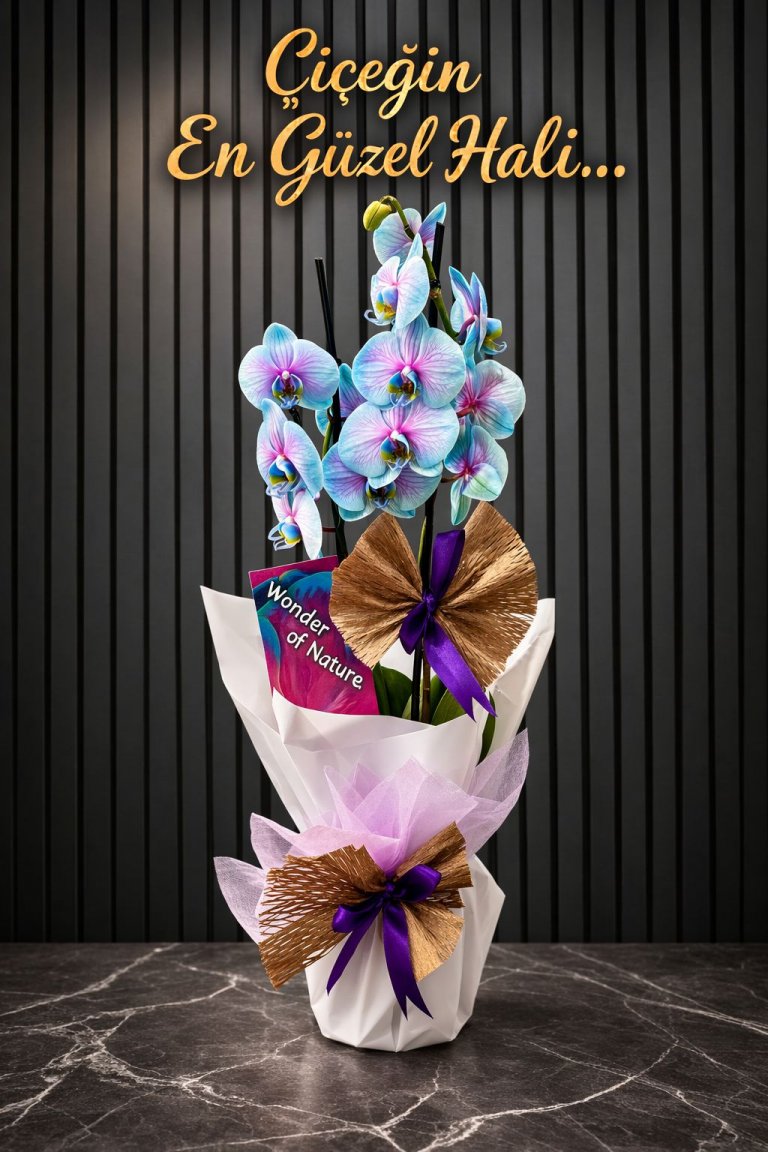 Çift Dallı Premium Ithal Gökkuşağı Orkide