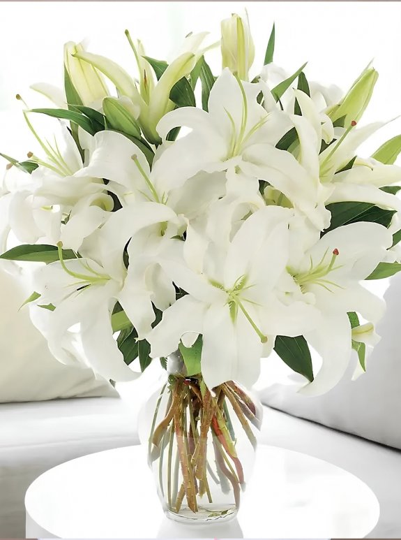 Vazoda Büyük Boy Lilyum